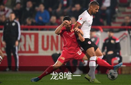 龙8唯一简介